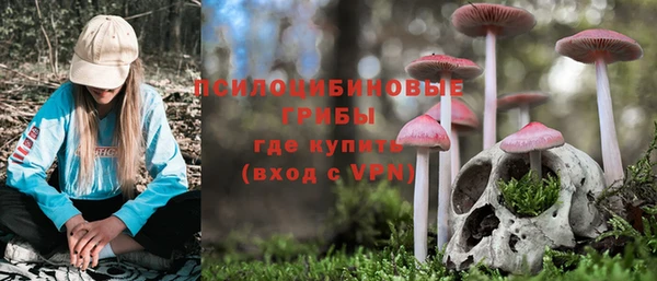 гидропоника Богородск