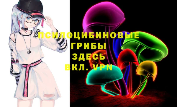 гидропоника Богородск