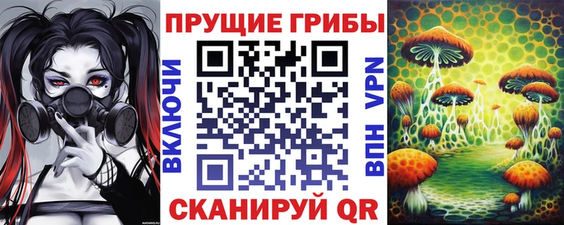 mega как войти  Ядрин  Псилоцибиновые грибы GOLDEN TEACHER  что такое  